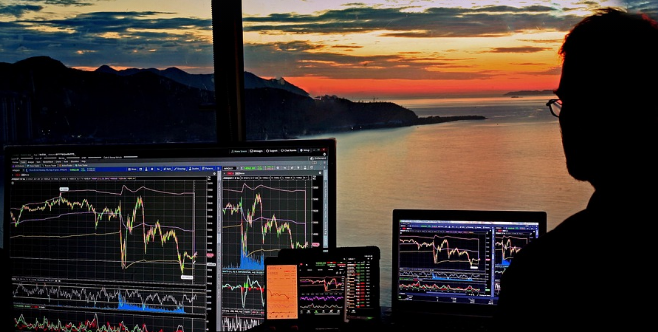 Dashboard showing verified forex signal performance, win rate, and drawdown