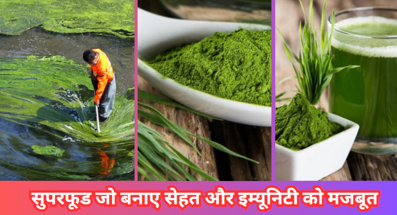 स्पाइरुलिना के फायदे – सुपरफूड पाउडर