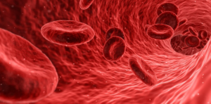 ମନୁଷ୍ୟଙ୍କର ବ୍ଲଡ୍ ଗ୍ରୁପ୍ ଭିନ୍ନ କାହିଁକି ହୁଏ?