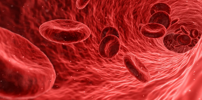 ମନୁଷ୍ୟଙ୍କର ବ୍ଲଡ୍ ଗ୍ରୁପ୍ ଭିନ୍ନ ଭିନ୍ନ କାହିଁକି ହୁଏ